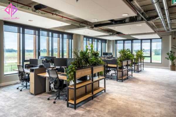 Ảnh cây trang trí văn phòng Decor Harmony sẽ như thế nào
