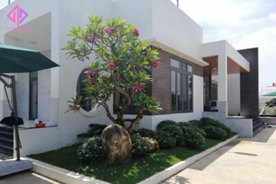 ảnh trang trí cây trước cửa nhà Decor Harmony trông sẽ như thế nào?
